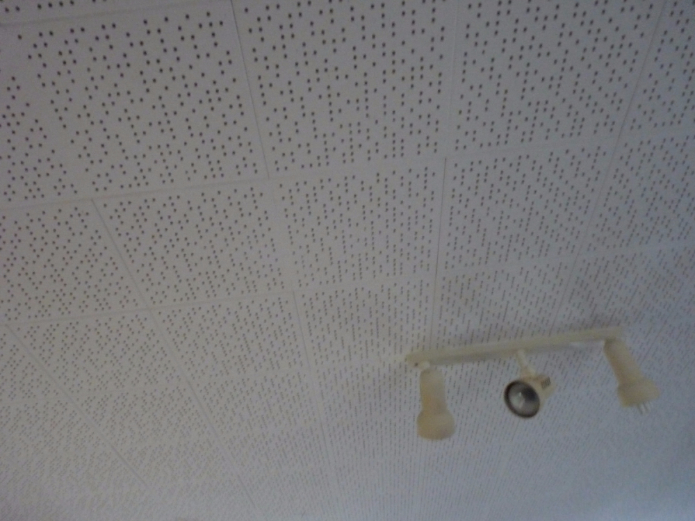 Pinex Ceiling Tiles Aprox 140 Size