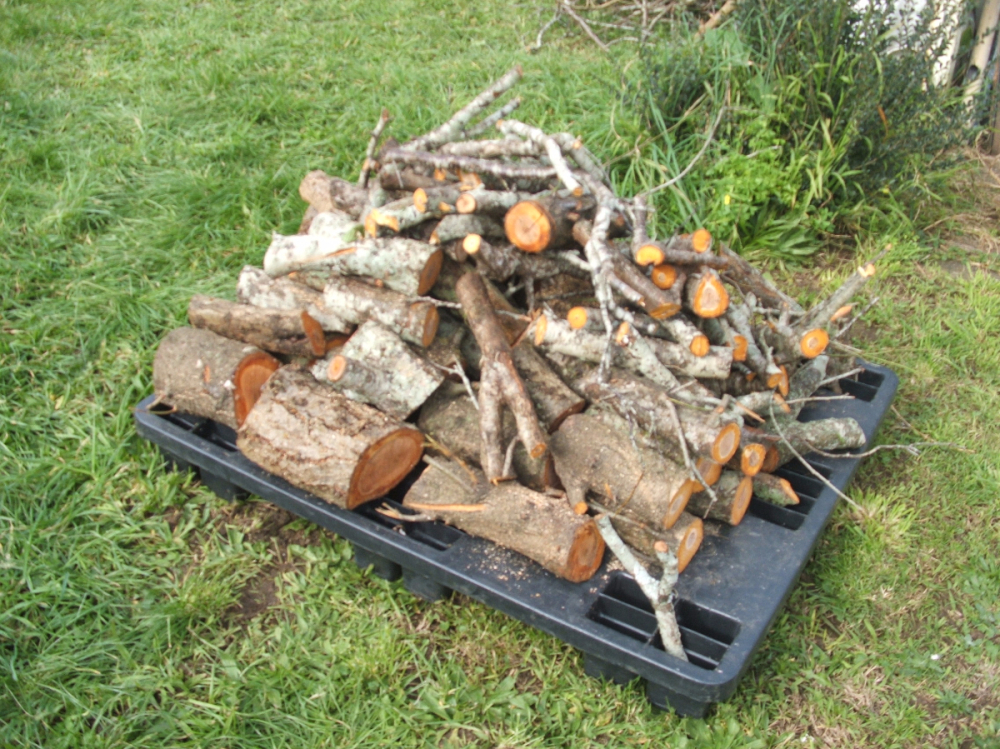 Plum Tree Firewood | Freestuff