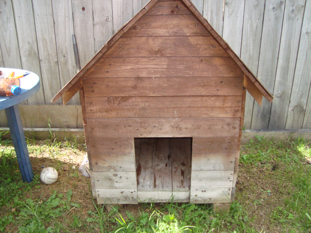 dog house | Freestuff