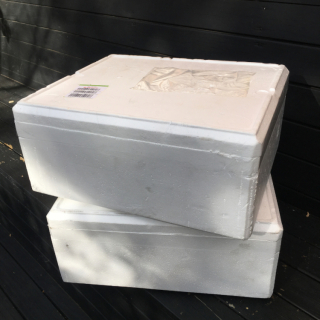 Polystyrene boxes | Freestuff