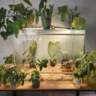Plant Tank (plants not included)