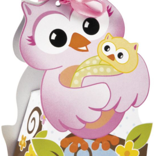 Baby Owl Baby Shower Favour Boxes, 12 packs