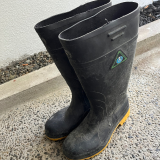 Gumboots Size 6