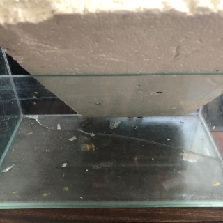 (cracked) Glass Tank