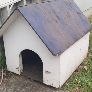 Wooden dog kennel