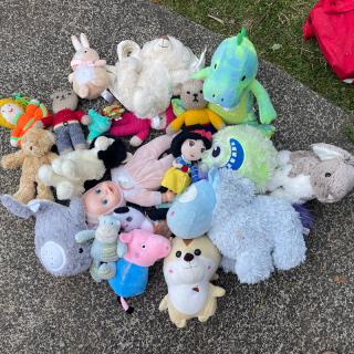 Soft toys - Ellerslie pick up