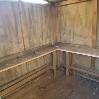 shed plywood 