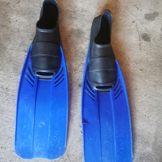 Fins 
