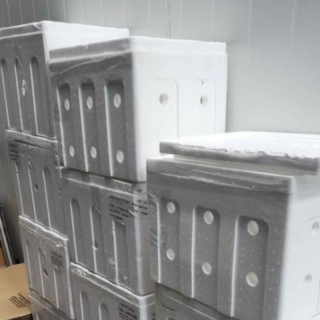 Polystyrene/Polyfoam Boxes - East Tamaki