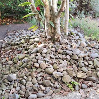 River stones to give away