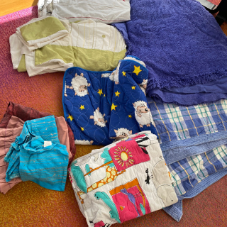 Two blankets and some duvet covers single bed