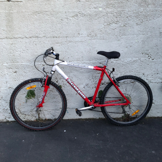 Men’s bike