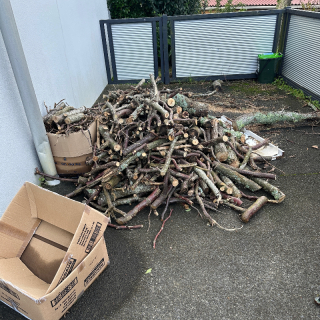 fire wood