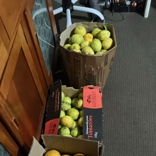 Limes