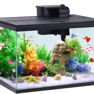 fish tank