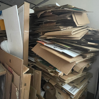 Cardboard 