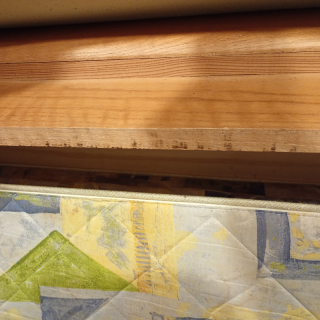 Single Wooden bed