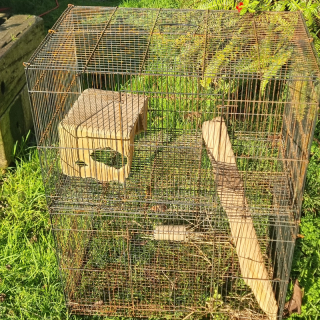 Small animal cage