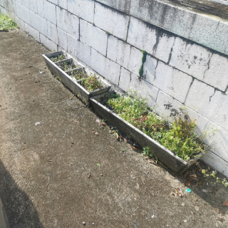 Planter boxes wooden 