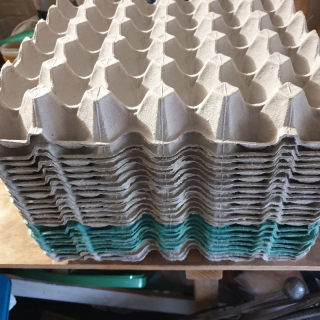 Egg Carton Trays