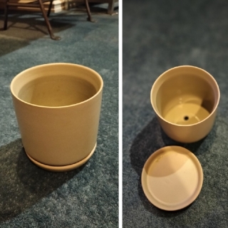 plant pot