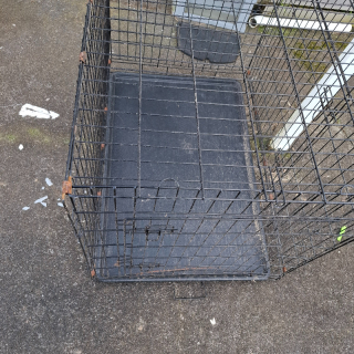Xl dog crate 