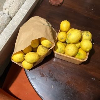 Free limes Mt Eden 022 016 6797