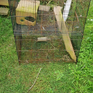Cage