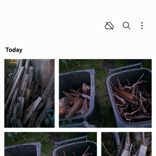 dry and wet firewood free